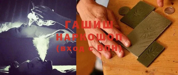 прущие грибы Магас