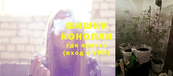 прущие грибы Лиски