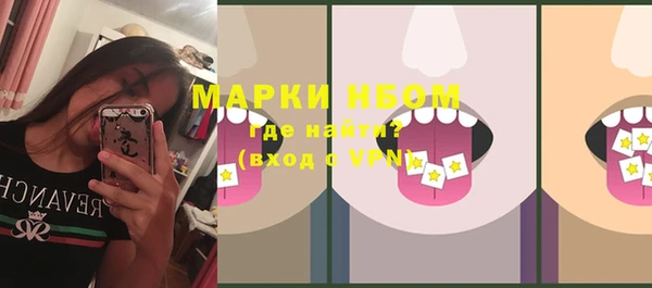 прущие грибы Магас