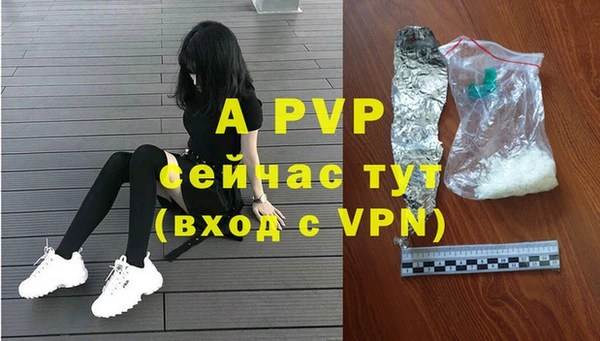 прущие грибы Магас