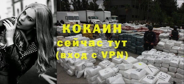прущие грибы Магас