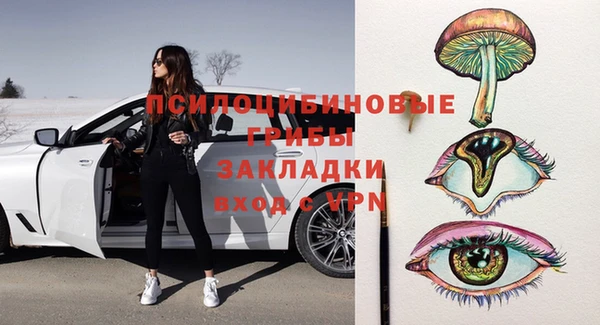 прущие грибы Магас