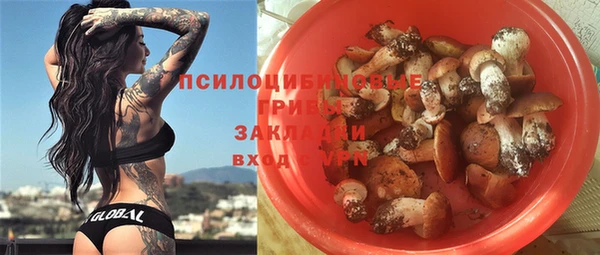 прущие грибы Магас