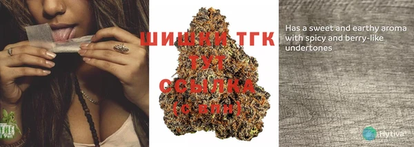 прущие грибы Магас