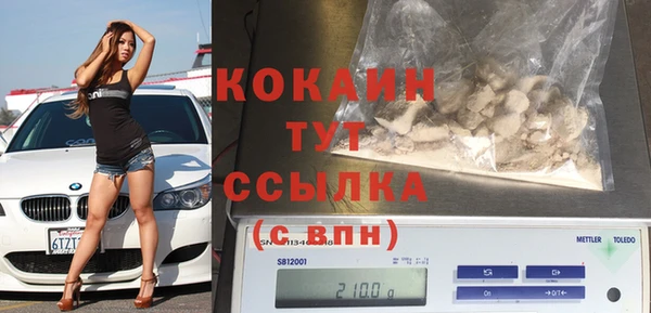 прущие грибы Магас