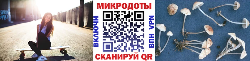 Псилоцибиновые грибы MAGIC MUSHROOMS  как найти   Горячеводский 